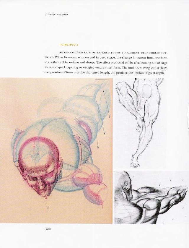 Burne Hogarth Anatomia Dinamica